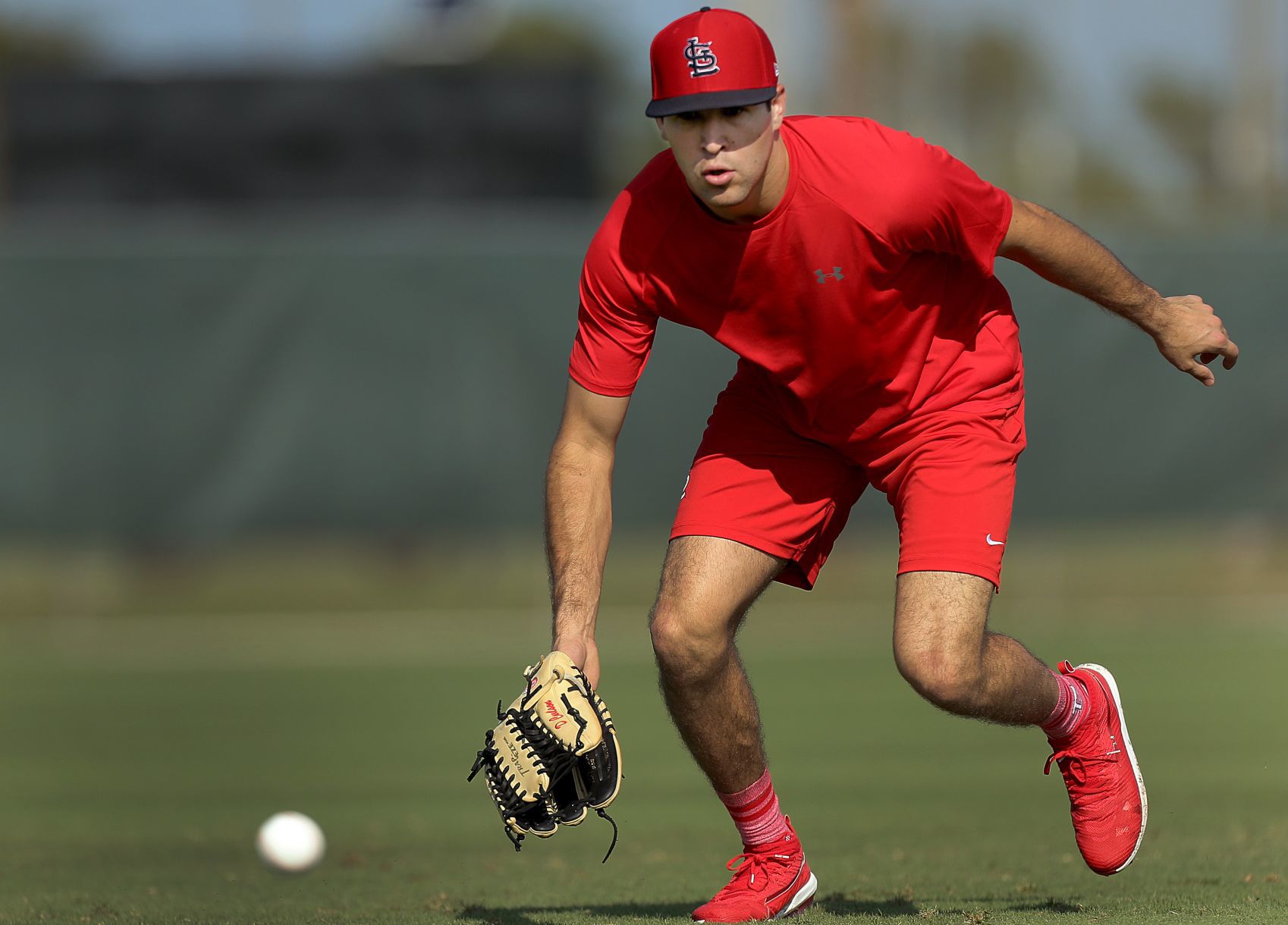 2019 Cardinals spring training